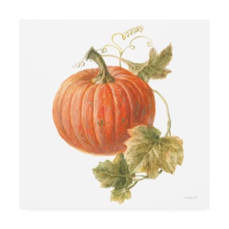 Danhui Nai 'Floursack Autumn VIII On White' Canvas Art,14x14